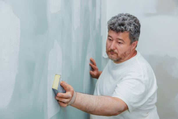 Best Mold Odor Removal Services  in English Creek, NJ