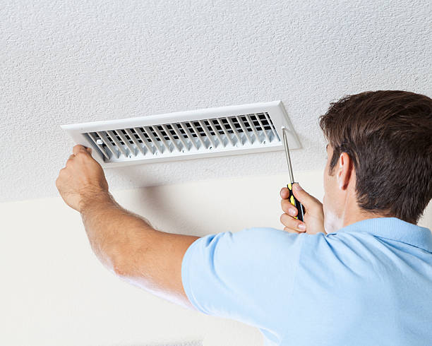 Best Mold Prevention Services  in English Creek, NJ