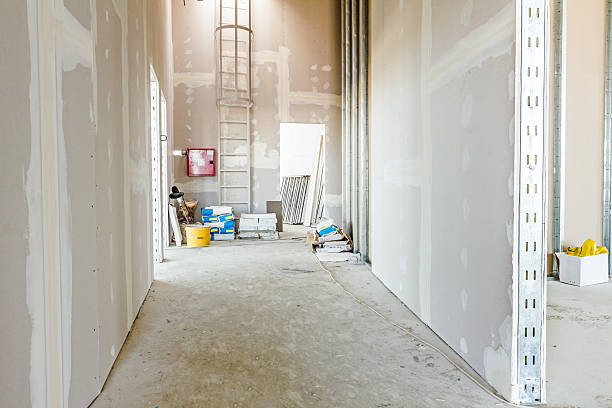 Best Airborne Mold Testing  in English Creek, NJ
