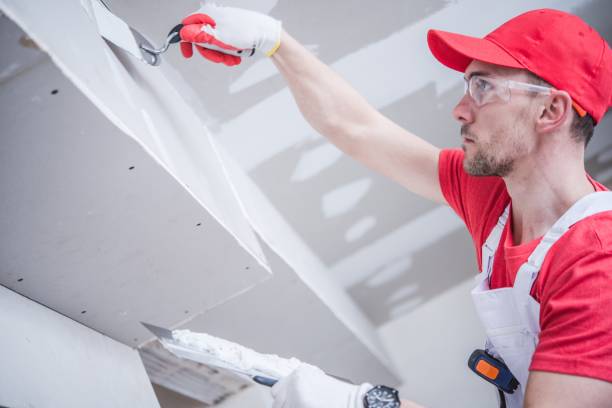 Best Mold Documentation for Insurance Claims  in English Creek, NJ